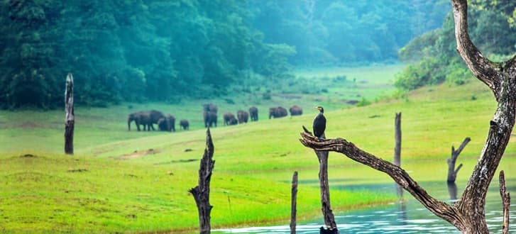 Periyar